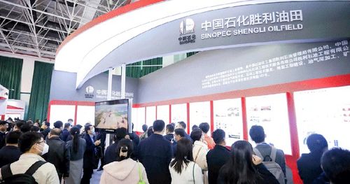 2024中国油气开发技术年会 聚焦提质增效，共绘能源新蓝图